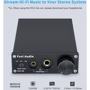 Fosi Audio SPDIF/Coaxial на RCA/3.5/6.35 DAC-Q5 Black: Тип пристрою ЦАП с усилителем
