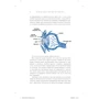 Если бы наши тела могли говорить. Руководство по эксплуатации и обслуживанию человеческого тела: ISBN 978-5-389-13056-2