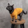 Толстовка Pet Fashion Superdog L (4823082420315): Розмір L