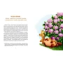 Іван Андрусяк: Жерар. Комплект із 3-х книг: Кількість сторінок 96 + 144 + 48