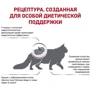 Сухой корм для котов Royal Canin Renal Feline при почечной недостаточности 2 кг (39000209): Возраст Взрослые