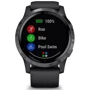 Смарт-часы Garmin Vivoactive 4 Slate Stainless Steel Bezel with Black Case and Silicone Band (010-02174-13): Интерфейсы подключения Bluetooth , Wi-Fi , ANT Plus