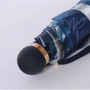 Парасолька жіноча механічна Nex (ZN23324-2): Розмір купола Большой