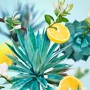 Диффузор Maison Berger Paris Joy c ароматом Agave Garden 180 мл (6847) фото 1
