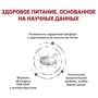 Сухой корм для котов Royal Canin Renal Feline при почечной недостаточности 2 кг (39000209): Порода Все породы