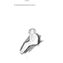 Рупі Каур: Тіло, мій дім: ISBN 978-966-982-904-7