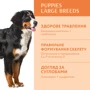 Сухой корм Optimeal Puppies Large Breeds для щенков крупных пород с индейкой 4 кг (4820215366168): Порода Крупные