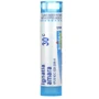 Boiron, Single Remedies Ignatia Amara 30C Игнатия Анара около 80 гранул