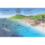 See inside: Oceans: Количество страниц 16