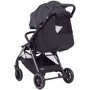 Коляска прогулочная Carrello Delta CRL-5517 Lava Grey 2024 (CRL-5517 Lava Grey 2): Пол ребенка Унисекс