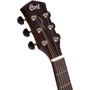 Гітара CORT Core-OC Blackwood (Open Pore Light Burst) w/case: Розмір Полноразмерная