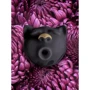 Вакуумный стимулятор клитора Gvibe Gcat Black