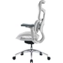 Офисное кресло Sihoo DORO S100 Mesh White (S100-M302)