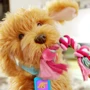 Интерактивная игрушка My Fuzzy Friends Лабрадудель Moji (18207-UKR-ENG): Датчики прикосновения, акустический