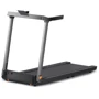 Беговая дорожка Xiaomi King Smith WalkingPad G1 (WALKINGPAD G1 EU)