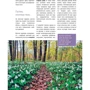 Стильный цветник. Популярная энциклопедия: Автор Римма Карписонова