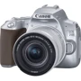 Canon EOS 250D kit (18-55mm) EF-S IS STM Silver: Тип матриці CMOS