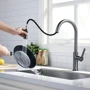 Смеситель для кухни Lefton Copper Kitchen Pull-Down Faucet with 3 Water Outlet Modes-KF2202 Grey: Термостат Нет