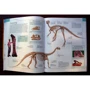 Динозавры. Иллюстрированный атлас: ISBN 978-5-389-00061-2