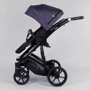 Детская коляска 2 в 1 Expander VIVA V-26883 (1) Plum: Тип коляски Универсальная коляска (2-в-1)