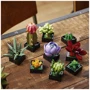 Конструктор LEGO Icons Сукуленти (10309) фото 5