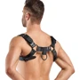Портупея Bedroom Fantasies Bruno Chest Bulldog Harness - Black