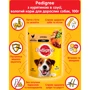 Влажный корм Pedigree для взрослых собак Курица и овощи в соусе 24х100г (5900951017322): Свойства Основное питание