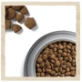 Сухой корм Dog Chow Large Breed Adult 2+ для собак больших пород с индейкой 14кг (12362346): Порода Гигантские, Крупные
