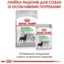 Сухой корм Royal Canin Mini Digestive Care Adult для собак малых пород c чувствительным пищеварением 3 кг (2447030): Свойства Основное питание, Забота о пищеварении