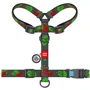 Шлея WAUDOG Nylon с QR-паспортом рисунок Калина М 20 мм 40-70 см cерый (5150-0228): Производитель WAUDOG
