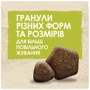 Сухой корм Dog Chow Adult 1+ для взрослых собак с ягненком 2.5кг (12493231): Тип Сухой корм