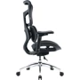 Офисное кресло Sihoo DORO S100 Mesh Black (S100-M301)