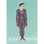 Элен Дрювер: Анатомия