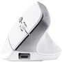 Мышь Trust Bayo 2 Ergonomic Wireless White (25398): Интерфейс подключения Wireless