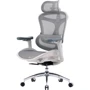 Офисное кресло Sihoo DORO C300L Mesh White (DORO-C300L-A3-102)