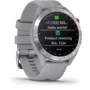 Смарт-часы Garmin Approach S40 Stainless Steel (010-02140-00): Дисплей 1.2 Transflective (240 x 240)