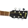 Электро-акустическая гитара Ibanez PF15ECE BK: Тип крепления грифа Вклеенный