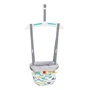 Прыгунки Bright Starts Playful Parade (11619)