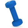 Гантель Hop-Sport Queenfit 2х1.5 кг світло-синій: Покриття неопрен