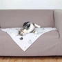 Килимок з мордочками для кішок Trixie Mimi 70х50 см сірий (4011905371689) фото 1
