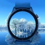 Защита экрана BeCover Screen Protector Black for Amazfit GTR 2E (706052): Совместимость с брендом Amazfit