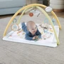 Коврик-игровой центр Fisher-Price Первые прикосновения ребенка (HRB15): Особенности игровые дуги