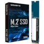 GIGABYTE 500 GB GM2500G