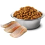 Беззерновий сухий корм Farmina N&D Ocean Herring & Orange Neutered для стерилізованих кішок та кастрованих котів Оселедець та апельсин 300 г (175580): Клас Холістік