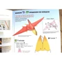 KUMON: 3D поделки из бумаги. Трицератопс и птеранодон фото 8