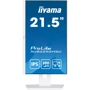 Монитор Iiyama ProLite XUB2292HSU-W6: Время реакции, мс 1