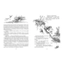 Николай Носов: Приключения Незнайки и его друзей: Количество страниц 192