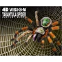 Объемная анатомическая модель 4D Master Паук Тарантул (FM-622032)