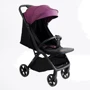 Детская прогулочная коляска Joy Willow (WL-65316)