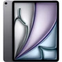 iPad iPad